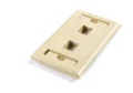 Faceplate American Standard 2.8" × 4.5" with Label Window 2 Ports
